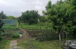 Casa 7 camere, teren 1440 mp, Mâsca