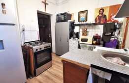 Garsoniera la curte comuna, 30 mp utili, zona Parneava