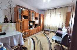 Garsoniera la curte comuna, 30 mp utili, zona Parneava