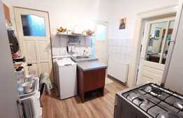 Garsoniera la curte comuna, 30 mp utili, zona Parneava