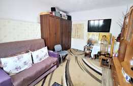 Garsoniera la curte comuna, 30 mp utili, zona Parneava