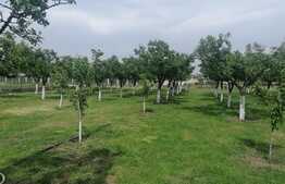 Proprietate, teren 5786 mp, doua fronturi stradale, Zona Gai