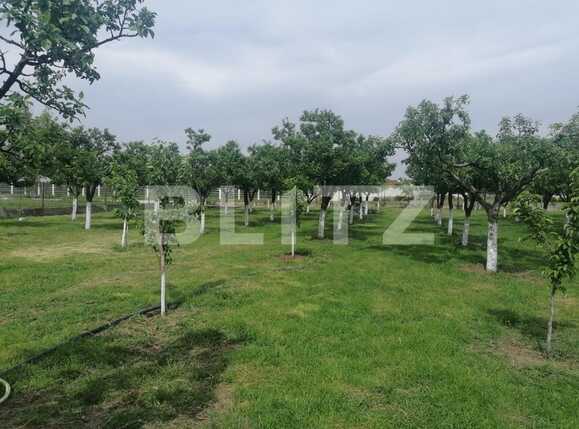 Casa de vânzare 4 camere Gai - 88363CV | BLITZ Arad | Poza17