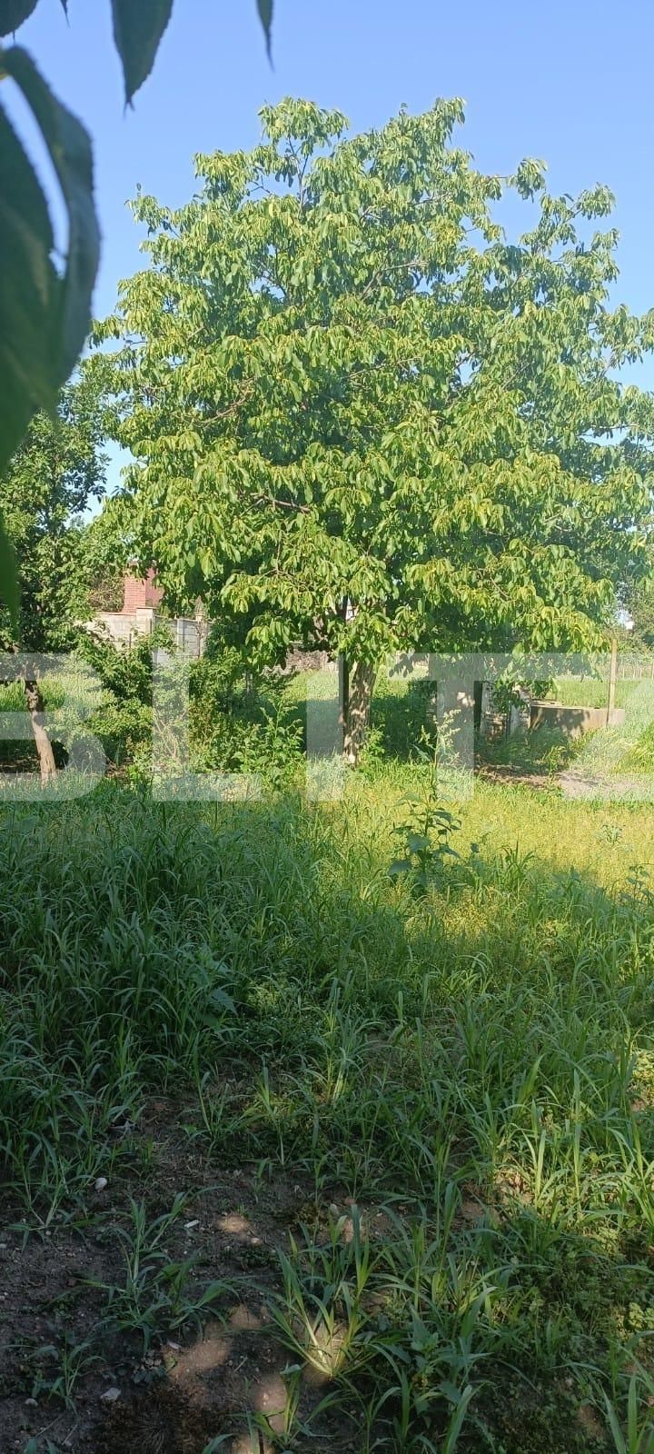 Teren de vânzare Aradul Nou - 88541TV | BLITZ Arad | Poza2