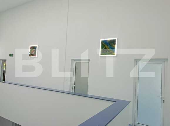 Spațiu comercial de închiriat Parneava - 88708SIC | BLITZ Arad | Poza6