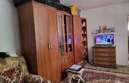 Apartament de 1 camera, 43 mp, zona Central