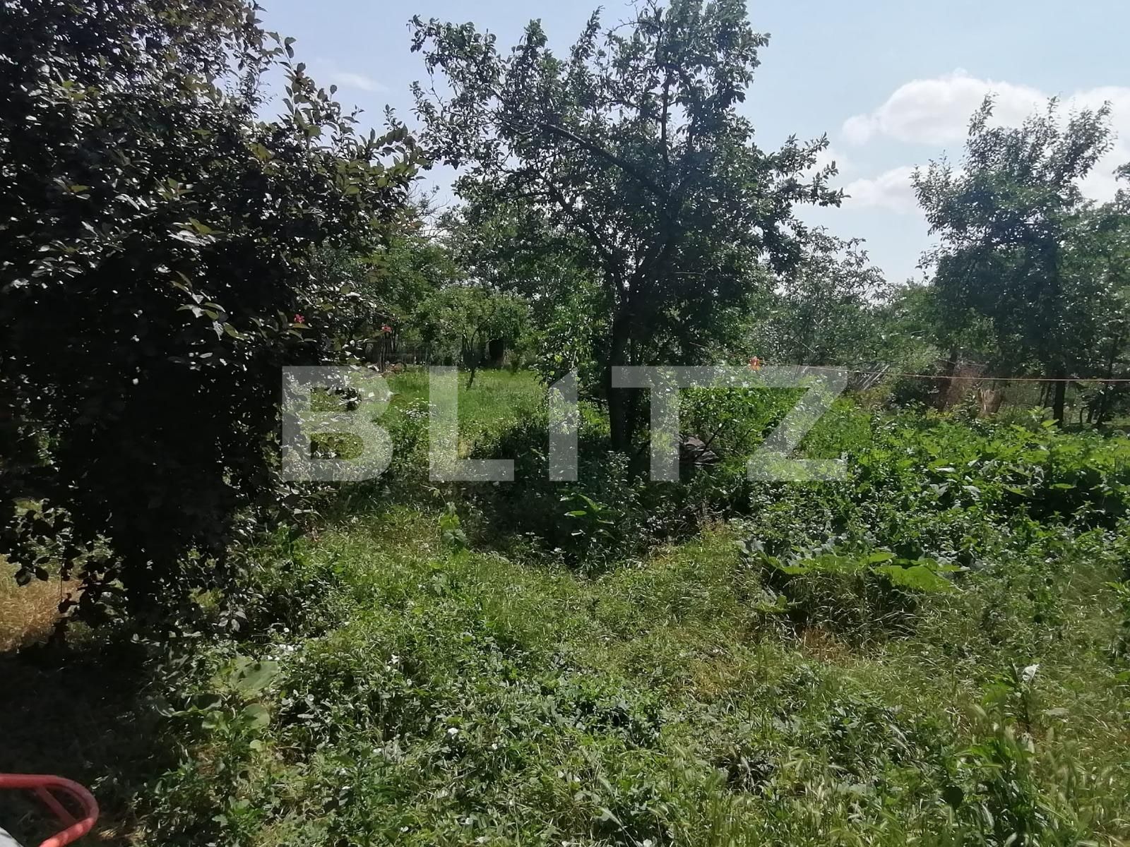 Casa de vânzare 7 camere Parneava - 88883CV | BLITZ Arad | Poza18