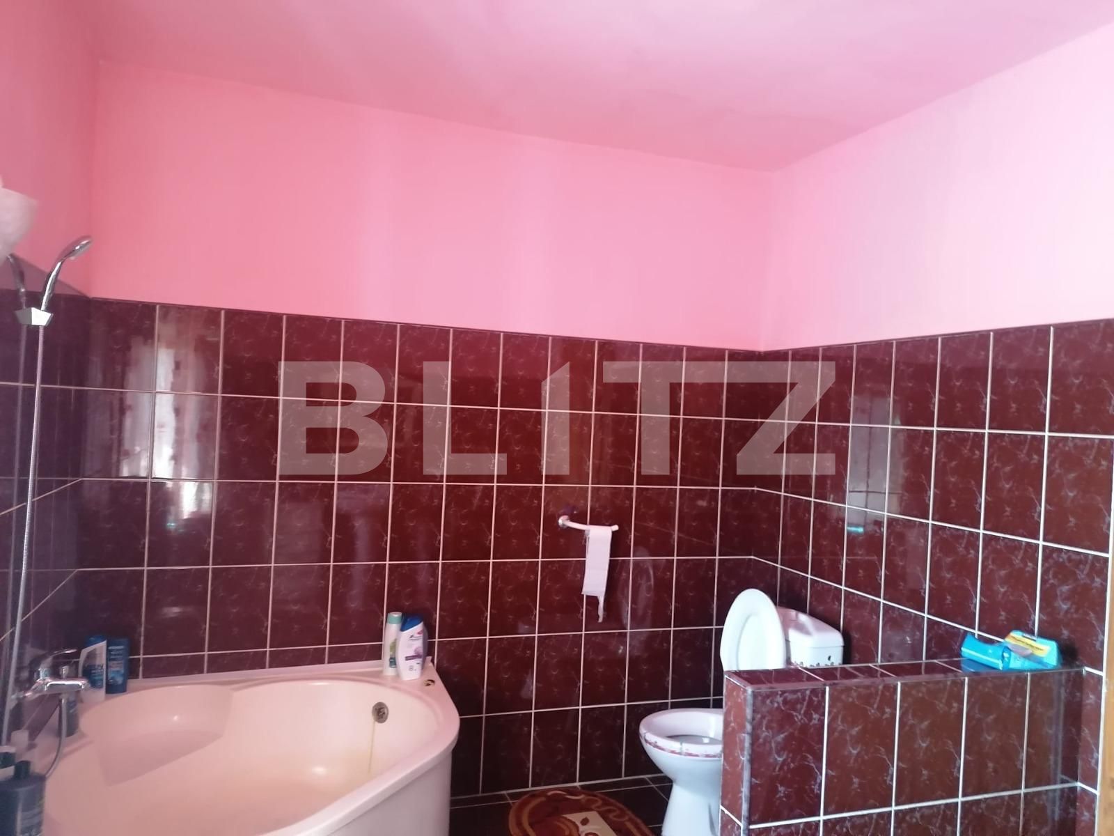 Casa de vânzare 7 camere Parneava - 88883CV | BLITZ Arad | Poza16