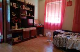 Casa individuala, 2 camere, 50 mp, teren 120 mp, de renovat, Fortuna