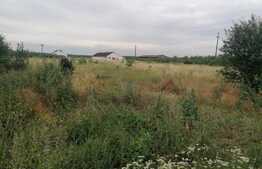 Teren intravilan 5000 mp, doua fronturi stradale, 37,5 ml respectiv 37,9 ml, Mândruloc