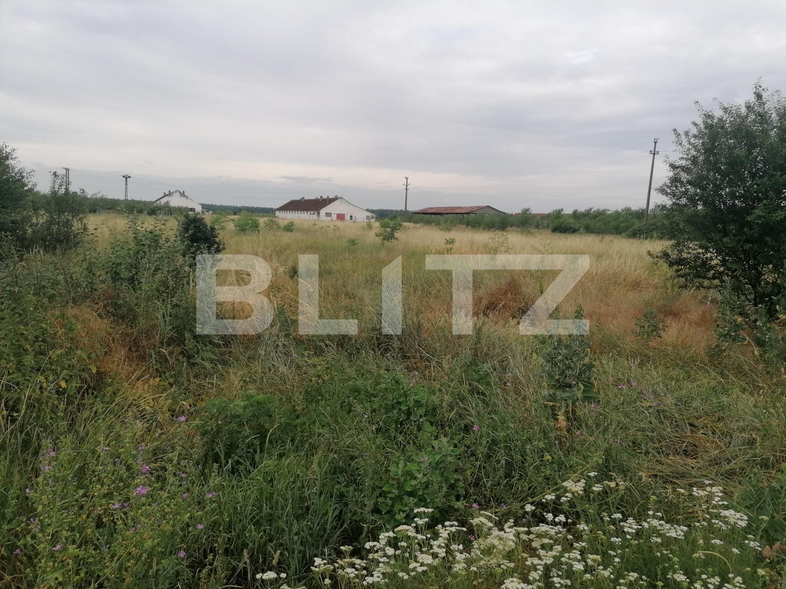 Teren de vânzare Nord-Est - 89949TV | BLITZ Arad | Poza3