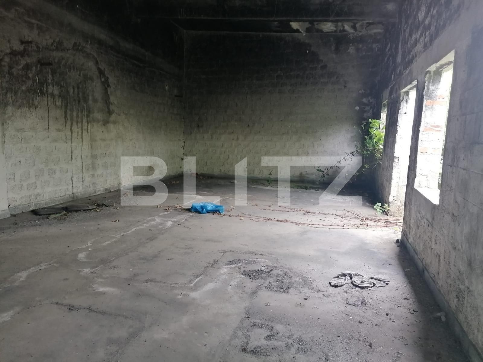 Spațiu industrial de vânzare Exterior Est - 90013SVI | BLITZ Arad | Poza2