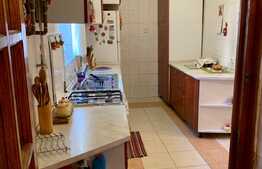 Apartament spațios, 3 camere, balcon, 154 mp, zona Centrala 