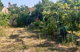 Casa individuala, 3 camere, 594 mp teren, Parneava