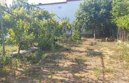 Casa individuala, 3 camere, 594 mp teren, Parneava