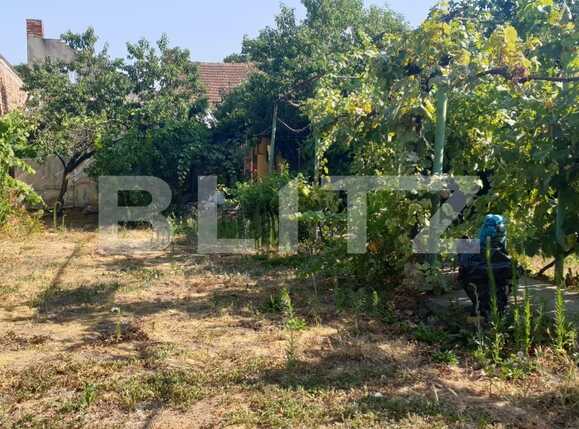 Casa de vânzare 3 camere P-ta Spitalului - 91927CV | BLITZ Arad | Poza7