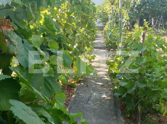 Casa de vânzare 3 camere P-ta Spitalului - 91927CV | BLITZ Arad | Poza9