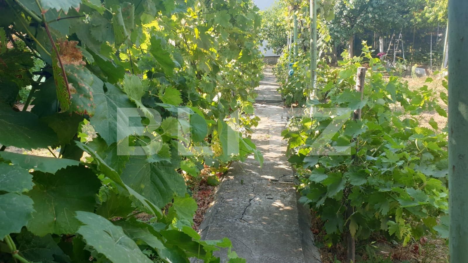 Casa de vânzare 3 camere P-ta Spitalului - 91927CV | BLITZ Arad | Poza9