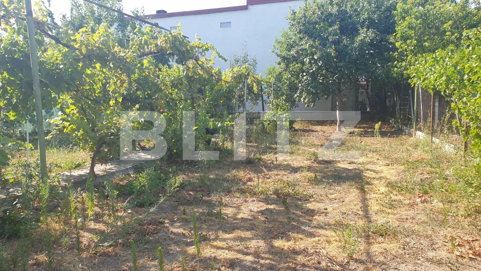 Casa de vânzare 3 camere P-ta Spitalului - 91927CV | BLITZ Arad | Poza8