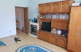 Casa 6 camere, 200 mp, destinatii multiple, Parneava