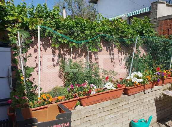 Casa de vânzare 6 camere Parneava - 92328CV | BLITZ Arad | Poza16