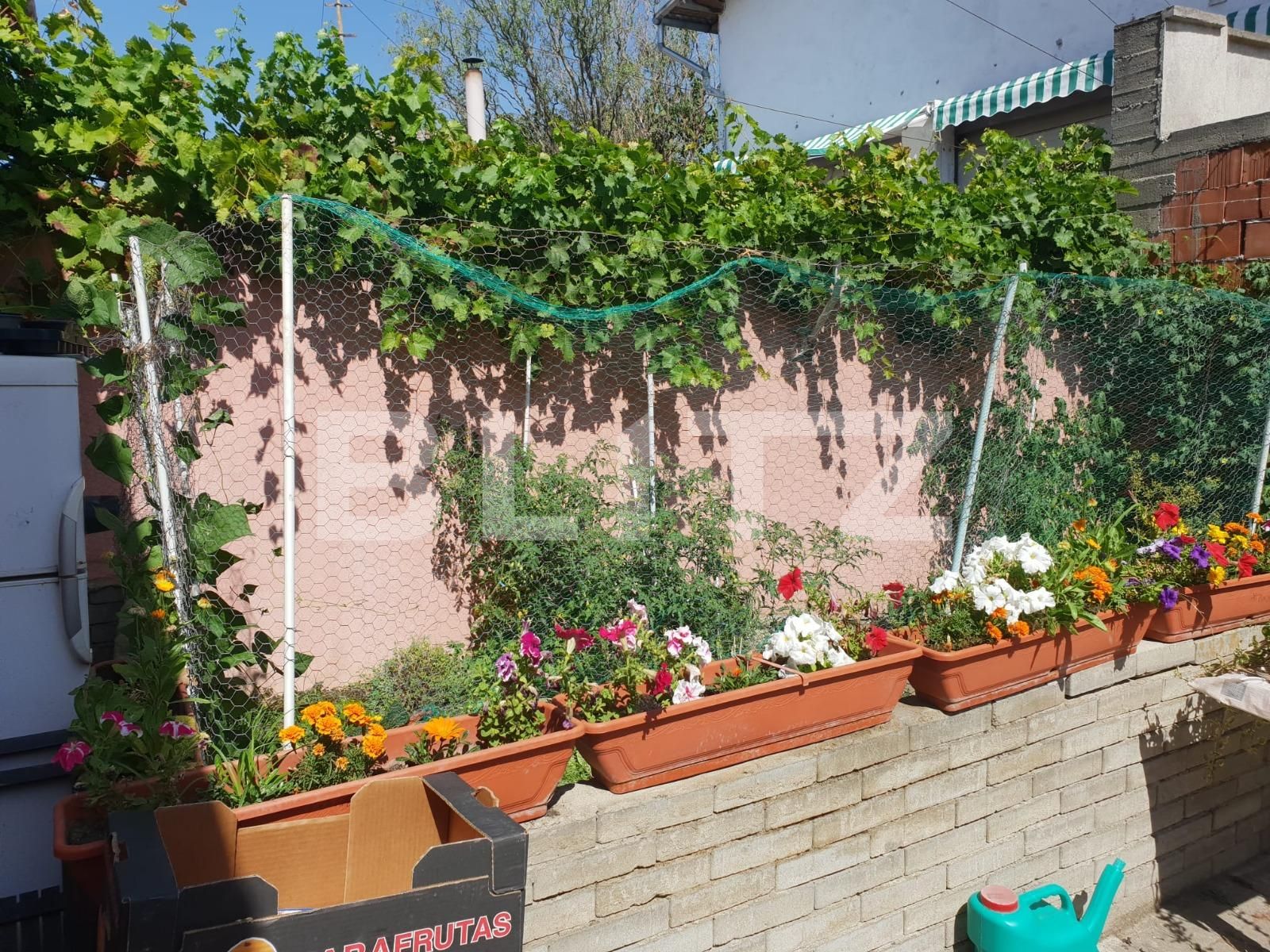 Casa de vânzare 6 camere Parneava - 92328CV | BLITZ Arad | Poza16