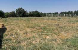 Casa de demolat, teren 2900 mp, Simand