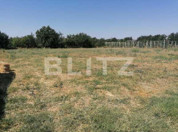 Casa de vânzare 3 camere Exterior Vest - 92414CV | BLITZ Arad | Poza4