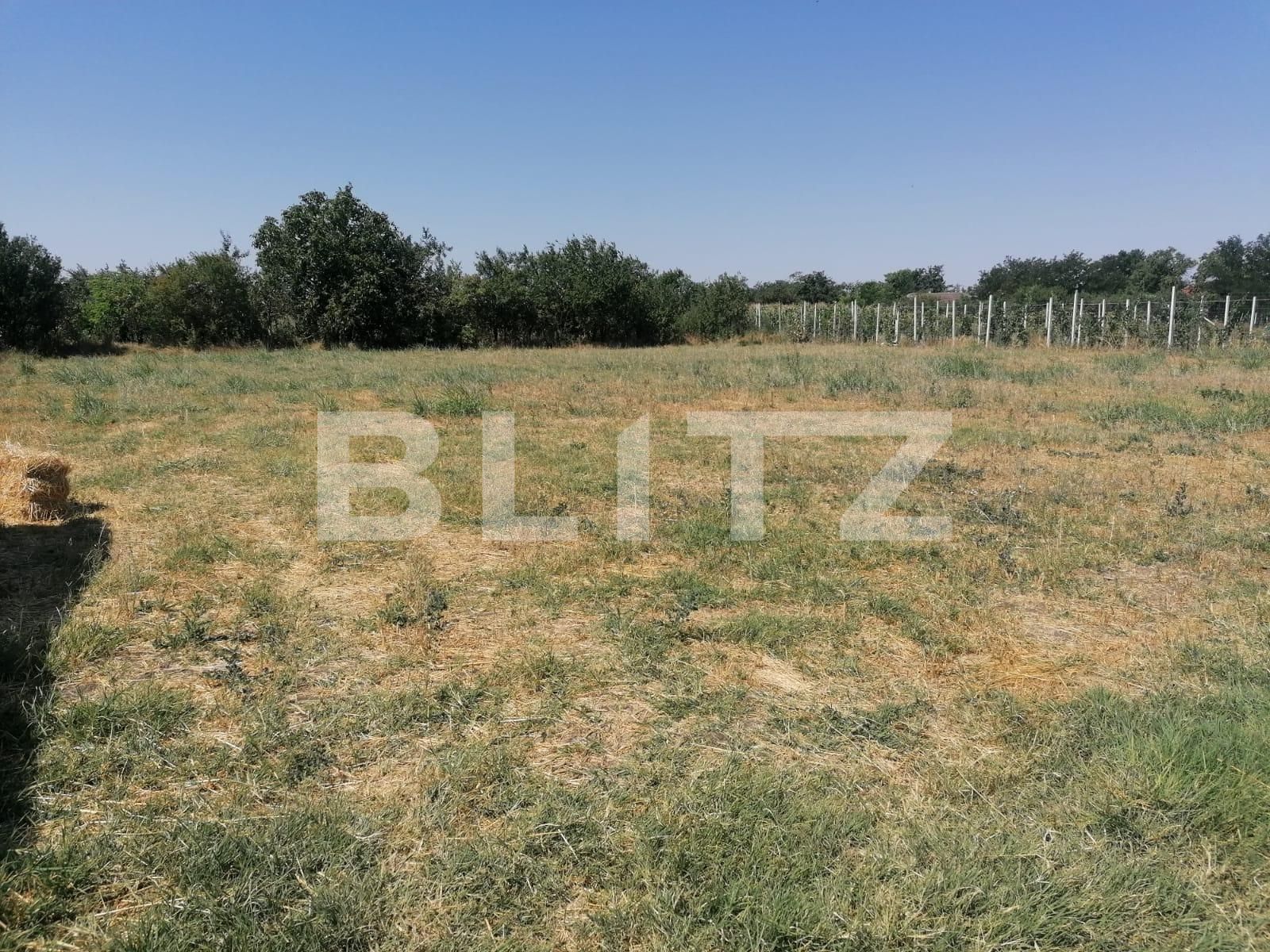 Casa de vânzare 3 camere Exterior Vest - 92414CV | BLITZ Arad | Poza4