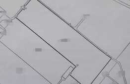 Teren intravilan 14600 mp, Gradiste