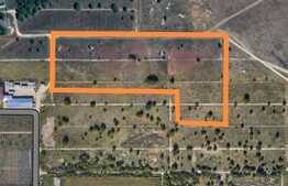 Teren intravilan 14600 mp, Gradiste