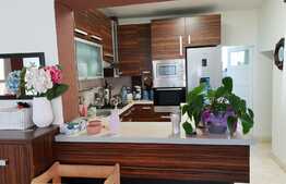 Casa 3 camere, 180 mp, teren 461 mp, terasa, Gradiste