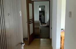 Apartament 2 camere, balcon, 48 mp, zona Boul Rosu