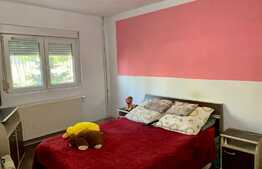 Apartament 3 camere, 70 mp, parter, in zona Fortuna