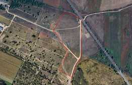 Teren intravilan arabil, 30800 mp, Gradiste