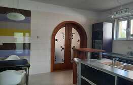 Casa cu 9 camere, 364 mp, teren 500 mp, zona Alfa