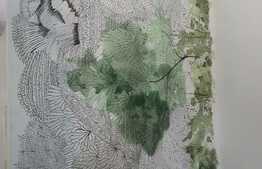 Casa cu 4 camere, 150 mp, teren 300 mp, zona Livada