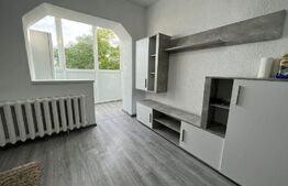 Oportunitate! Garsoniera recent renovata, 30 mp, zona Micalaca