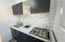 Oportunitate! Garsoniera recent renovata, 30 mp, zona Micalaca