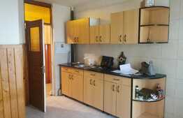 Apartament 2 camere, 94 mp, mobilat si utilat, zona Lebăda 