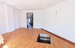 Apartament 3 camere la casa, curte comuna, parter, mansarda, Gradiste