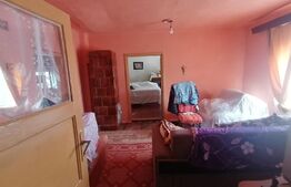 Casa 5 camere, 220 mp utili, teren 2001 mp, Aradul Nou