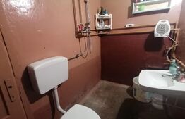 Casa 5 camere, 220 mp utili, teren 2001 mp, Aradul Nou