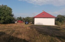 Casa 5 camere, 220 mp utili, teren 2001 mp, Aradul Nou