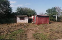 Casa 5 camere, 220 mp utili, teren 2001 mp, Aradul Nou