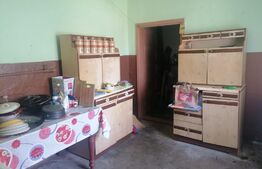 Casa 5 camere, 220 mp utili, teren 2001 mp, Aradul Nou