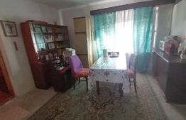 Casa 5 camere, 220 mp utili, teren 2001 mp, Aradul Nou