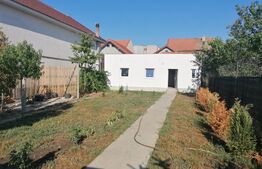 Casa individuala, 3 camere, Vladimirescu 