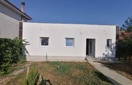 Casa individuala, 3 camere, Vladimirescu 
