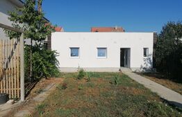 Casa individuala, 3 camere, Vladimirescu 